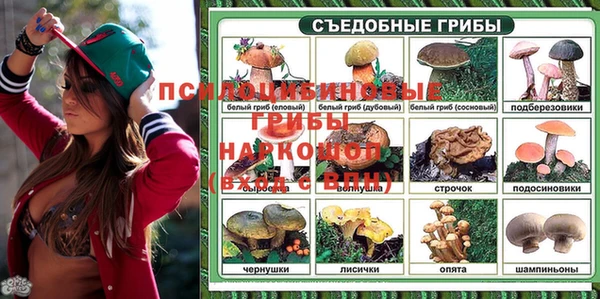 дурь Пересвет