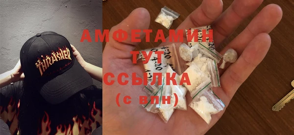 амф Пестово