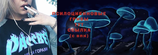 амф Пестово