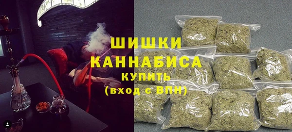 амф Пестово