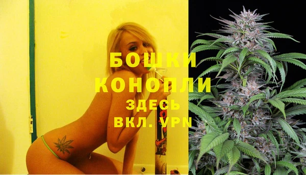 дурь Пересвет
