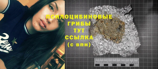 амф Пестово