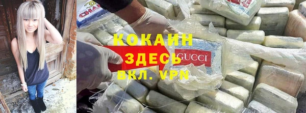 дурь Пересвет