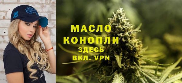дмт Переславль-Залесский