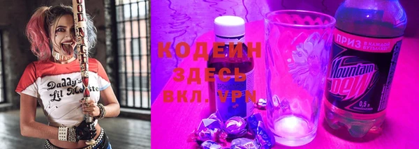 амф Пестово