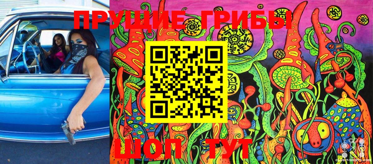 Вольск  купить наркотик  Вход с VPN  Галлюциногенные грибы Magic Shrooms 