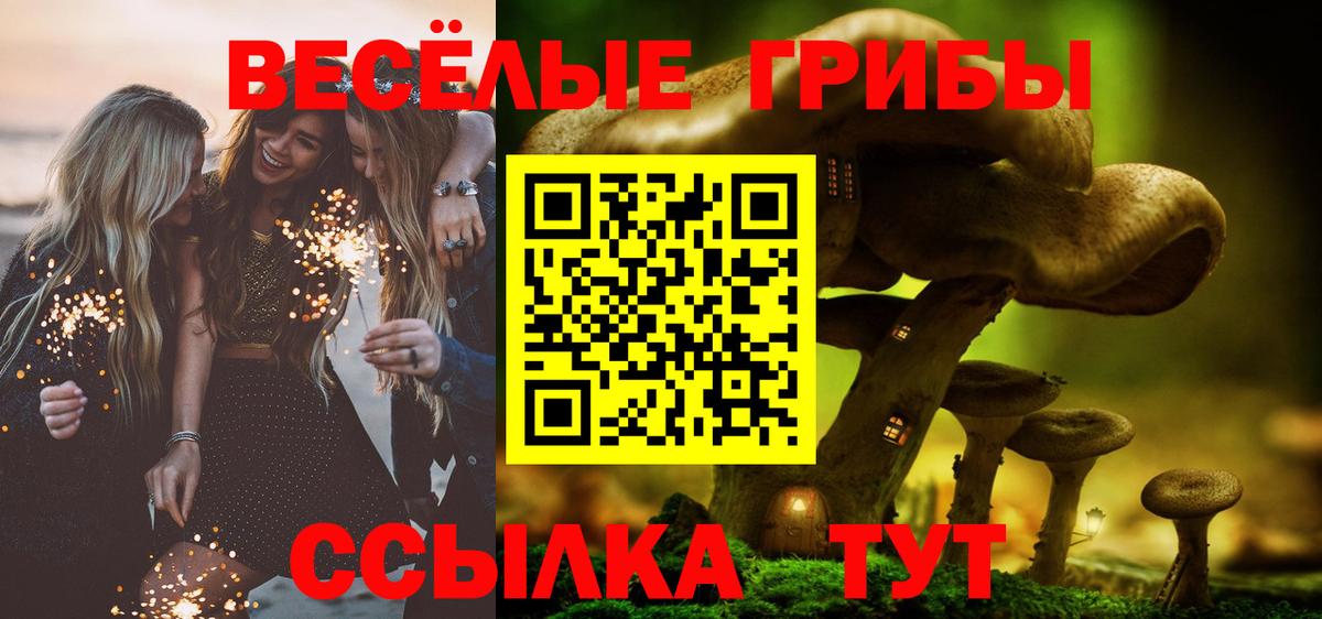 Галлюциногенные грибы Psilocybe Вольск