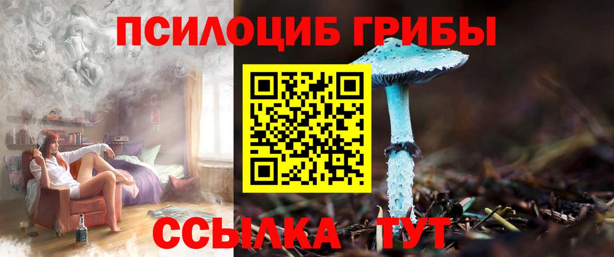 Псилоцибиновые грибы Cubensis Вольск